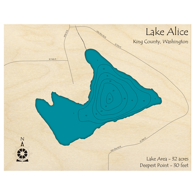 Bathymetric topo map of Lake Alice, WA with roads, towns and depths noted in blue water.