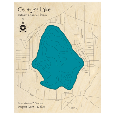 Bathymetric topo map of Georges Lake, FL with roads, towns and depths noted in blue water.