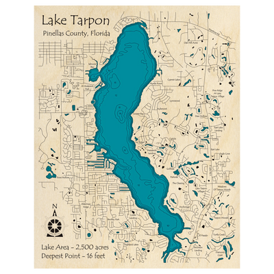 Bathymetric topo map of Lake Tarpon, FL with roads, towns and depths noted in blue water.