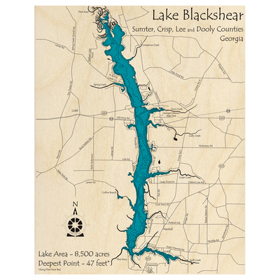 Bathymetric topo map of Lake Blackshear, GA with roads, towns and depths noted in blue water.