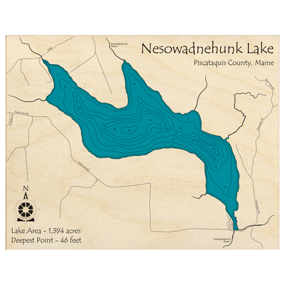 Bathymetric topo map of Nesowadnehunk Lake, ME with roads, towns and depths noted in blue water.