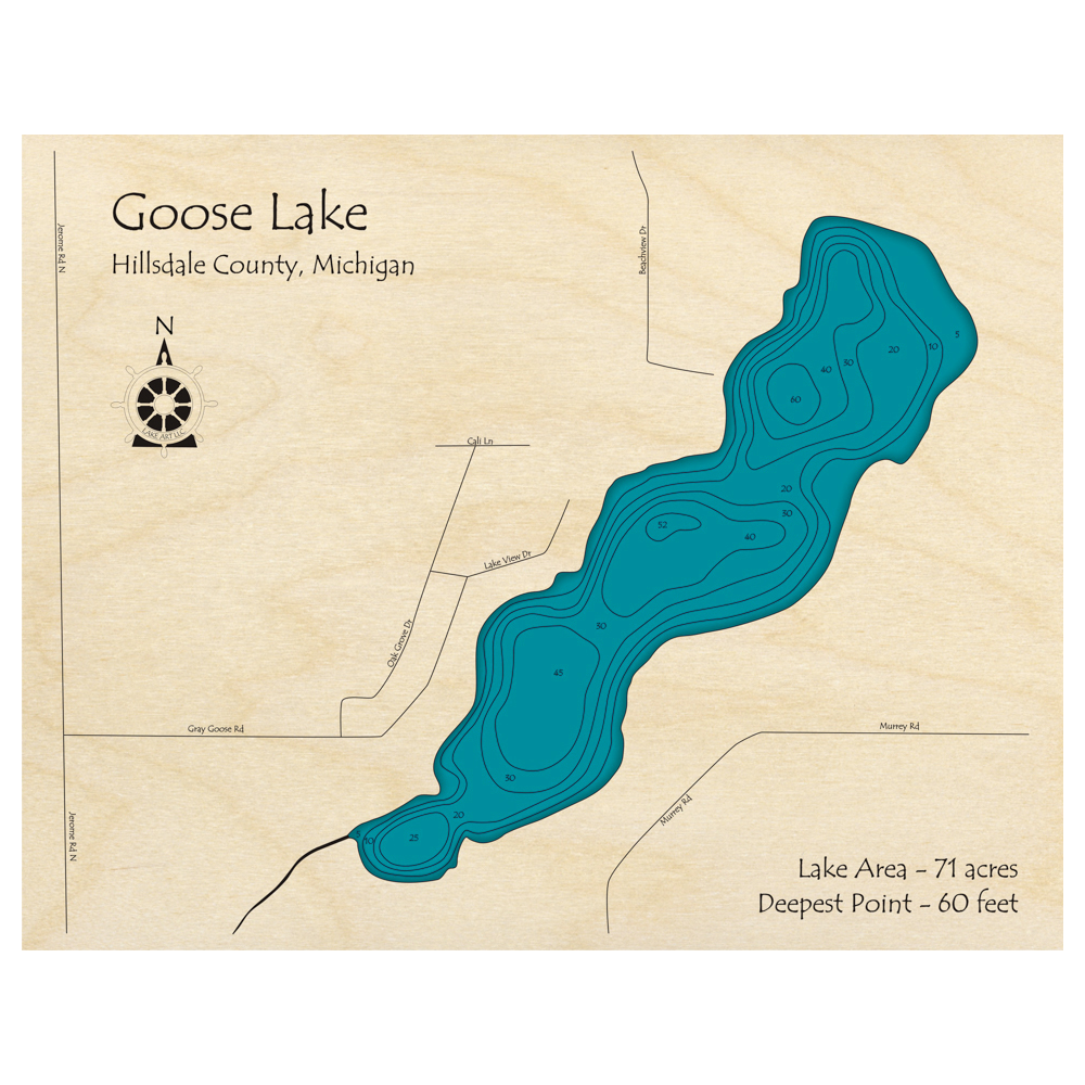 Bathymetric topo map of Goose Lake, MI with roads, towns and depths noted in blue water.