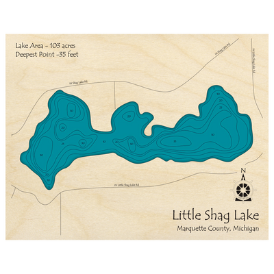 Bathymetric topo map of Little Shag Lake, MI with roads, towns and depths noted in blue water.