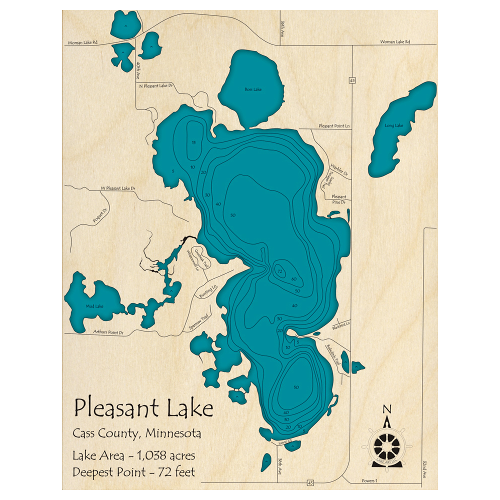 Bathymetric topo map of Pleasant Lake, MN with roads, towns and depths noted in blue water.