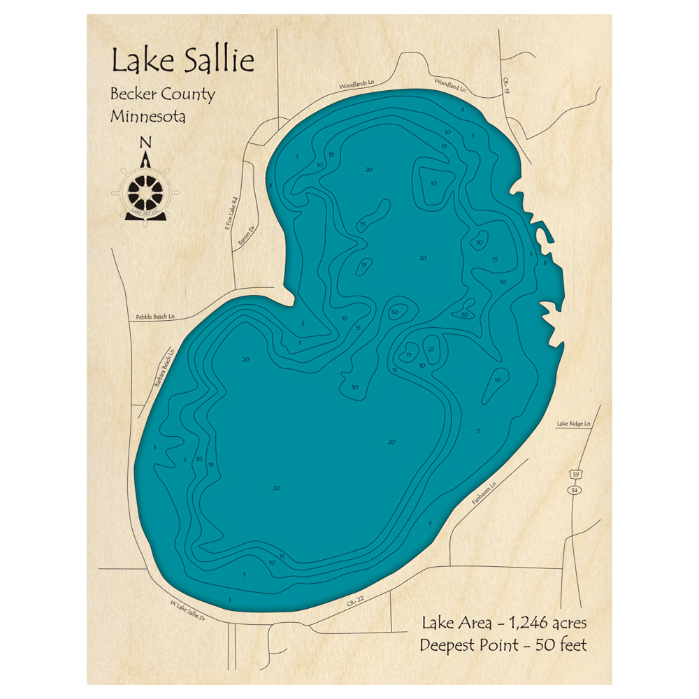 Bathymetric topo map of Lake Sallie, MN with roads, towns and depths noted in blue water.