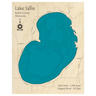 Bathymetric topo map of Lake Sallie, MN with roads, towns and depths noted in blue water.