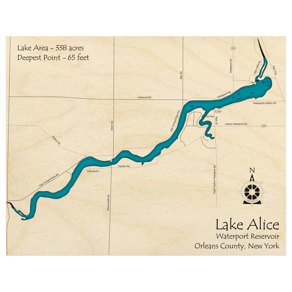Bathymetric topo map of Lake Alice, NY with roads, towns and depths noted in blue water.