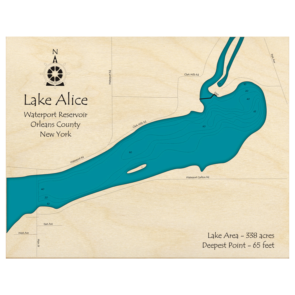 Bathymetric topo map of Lake Alice, NY with roads, towns and depths noted in blue water.
