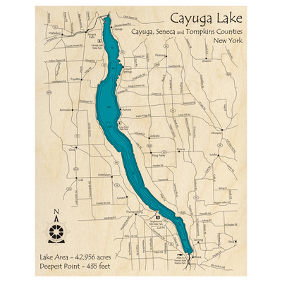 Bathymetric topo map of Cayuga Lake, NY with roads, towns and depths noted in blue water.