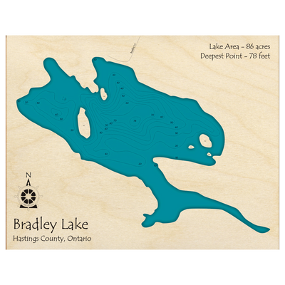 Bathymetric topo map of Bradley Lake, ON with roads, towns and depths noted in blue water.