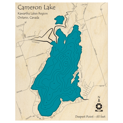 Bathymetric topo map of Cameron Lake, ON with roads, towns and depths noted in blue water.