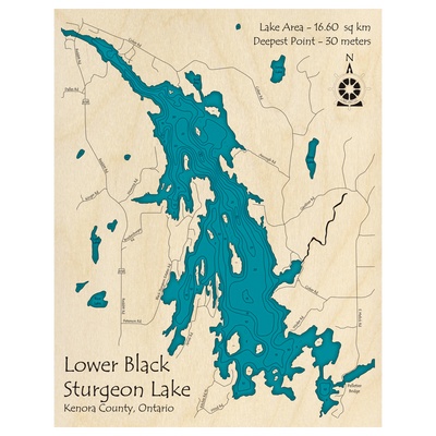Bathymetric topo map of Lower Black Sturgeon Lake, ON with roads, towns and depths noted in blue water.
