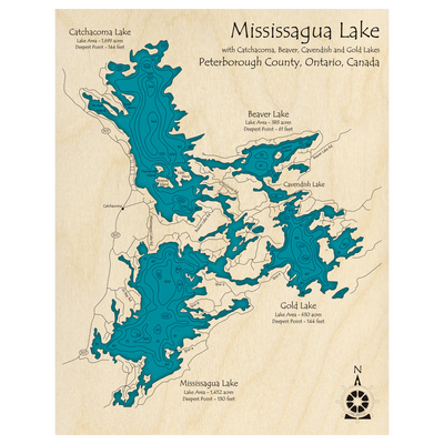 Bathymetric topo map of Mississagua Lake, ON with roads, towns and depths noted in blue water.