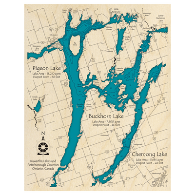 Bathymetric topo map of Pigeon Lake with Buckhorn and Chemong, ON with roads, towns and depths noted in blue water.