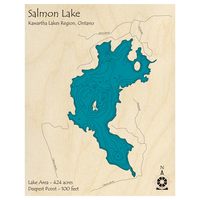 Bathymetric topo map of Salmon Lake, ON with roads, towns and depths noted in blue water.
