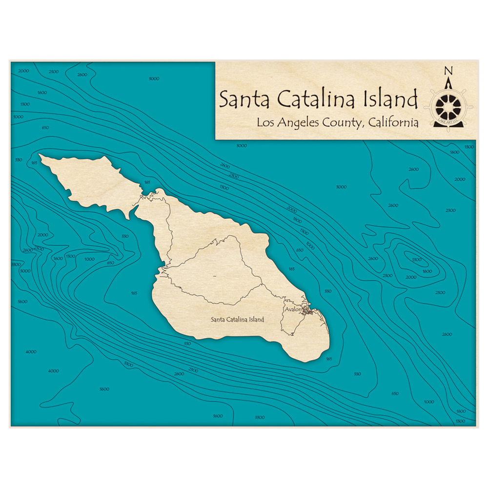 Bathymetric topo map of Santa Catalina Island with roads, towns and depths noted in blue water