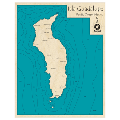 Bathymetric topo map of Isla Guadalupe with roads, towns and depths noted in blue water