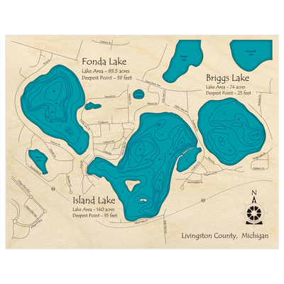 Bathymetric topo map of Fonda with Briggs and Island Lakes with roads, towns and depths noted in blue water