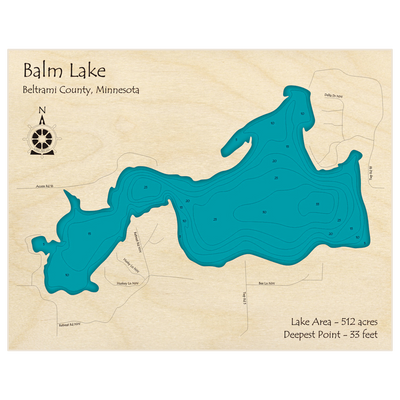 Bathymetric topo map of Balm Lake with roads, towns and depths noted in blue water