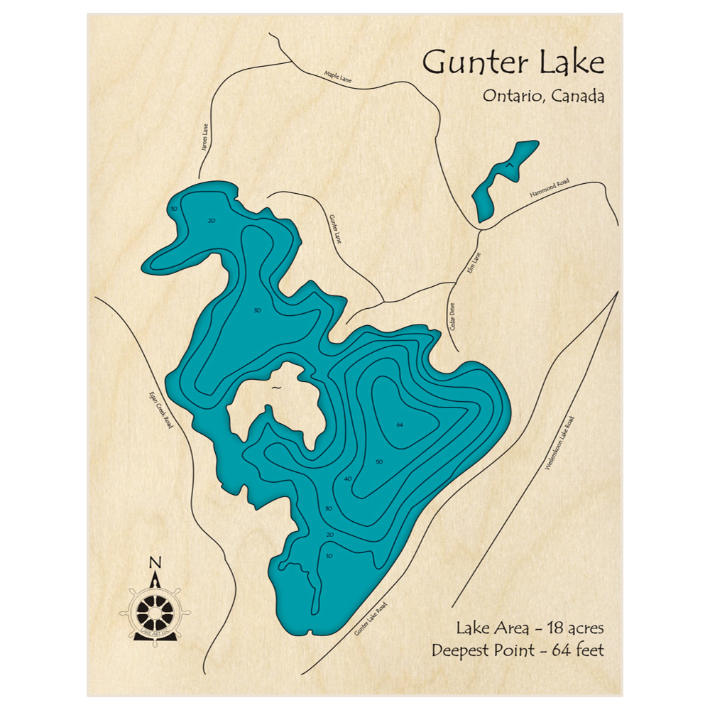 Bathymetric topo map of Gunter Lake with roads, towns and depths noted in blue water