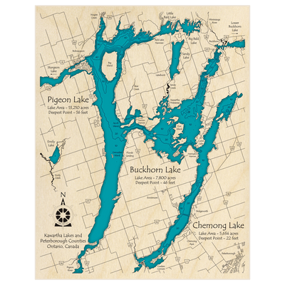 Bathymetric topo map of Pigeon Lake with Buckhorn and Chemong with roads, towns and depths noted in blue water