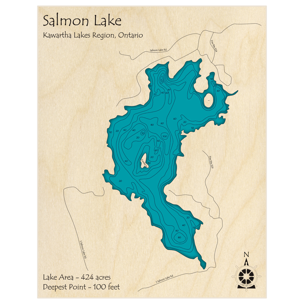 Bathymetric topo map of Salmon Lake with roads, towns and depths noted in blue water