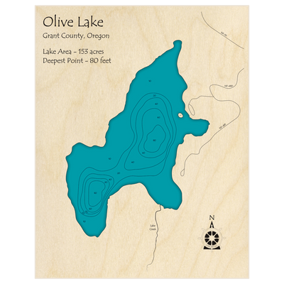 Bathymetric topo map of Olive Lake with roads, towns and depths noted in blue water