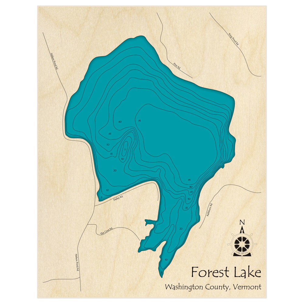 Bathymetric topo map of Forest Lake with roads, towns and depths noted in blue water